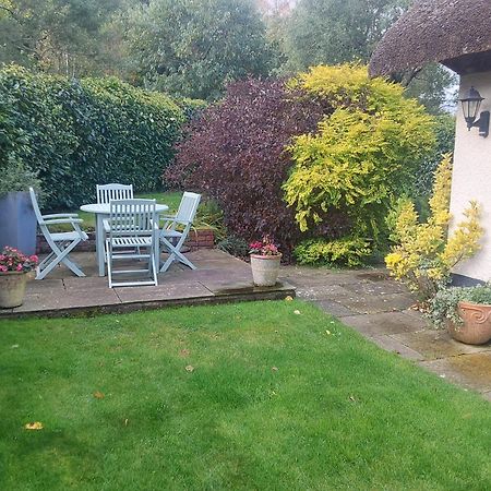 Rock House Cottage Exeter Buitenkant foto